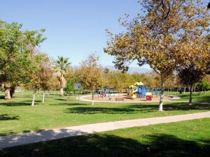 Sunny park scene with green grass, trees, and a children's playground featuring blue and yellow equipment. A path winds through the peaceful landscape.