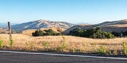 A scenic landscape featuring rolling hills covered with golden grass and patches of green trees under a clear blue sky, viewed from a roadside.