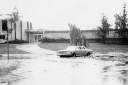A vintage car drives through a flooded street, water flowing around it. Nearby, a mid-century modern building and trees stand under a cloudy sky, creating a tense mood.