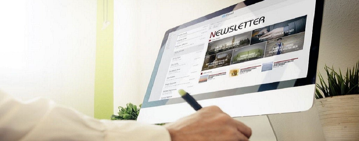 Person holding a stylus and examining a newsletter on a computer screen. The desk is modern, with small plants on the side, creating a focused, fresh workspace.