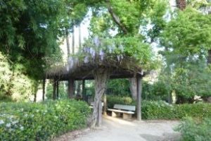 A tranquil park scene featuring a wooden gazebo covered with lush vines and purple flowers. There's a bench underneath, surrounded by greenery and a dirt path.