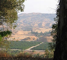 A picturesque landscape showing rolling hills under a hazy sky, framed by trees in the foreground. The scene is serene and natural.