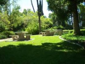Sunlit park scene with concrete picnic tables on a lush green lawn, surrounded by tall trees and bushes. The mood is tranquil and inviting.