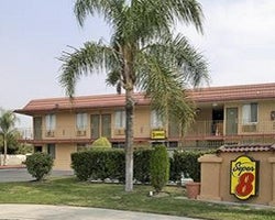 Two-story motel with tan exterior, palm trees, and well-kept bushes. A large "Super 8" sign in the foreground. The scene is calm and inviting.