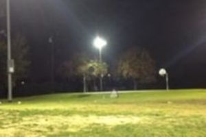 A dimly lit park at night with streetlights illuminating a green lawn and trees in the background. A dark sky creates a calm, quiet atmosphere.