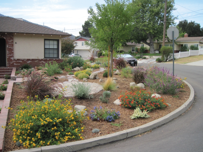 drought_tolerant_landscape_poster2_13