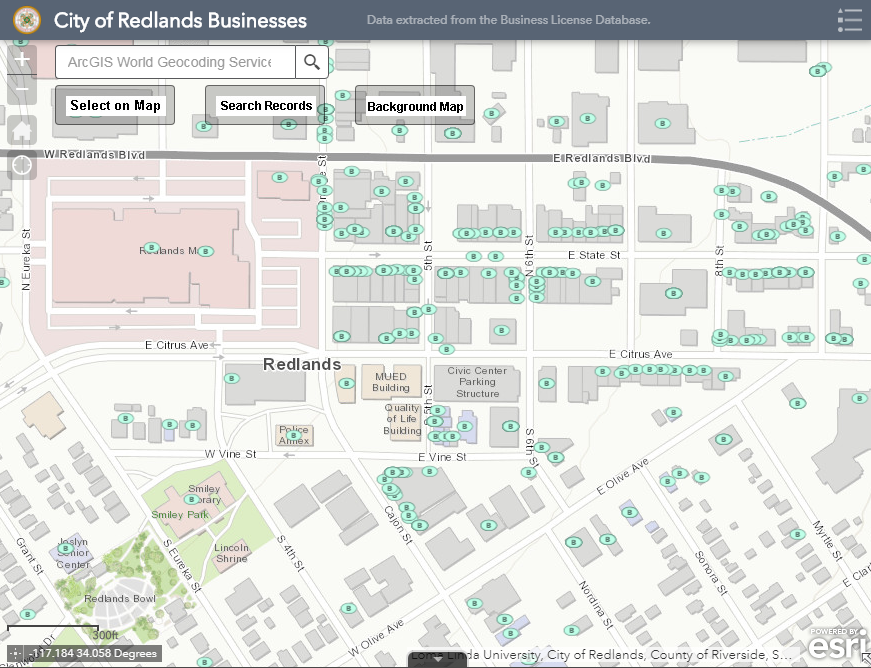Local Business Search Tool