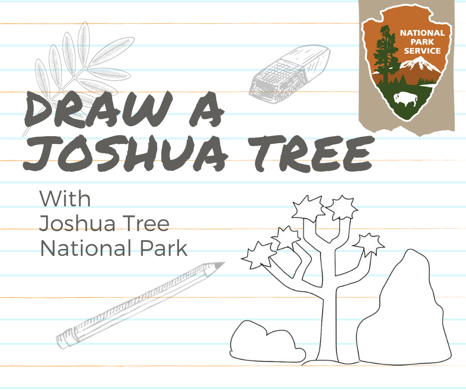 Joshua Tree National Park