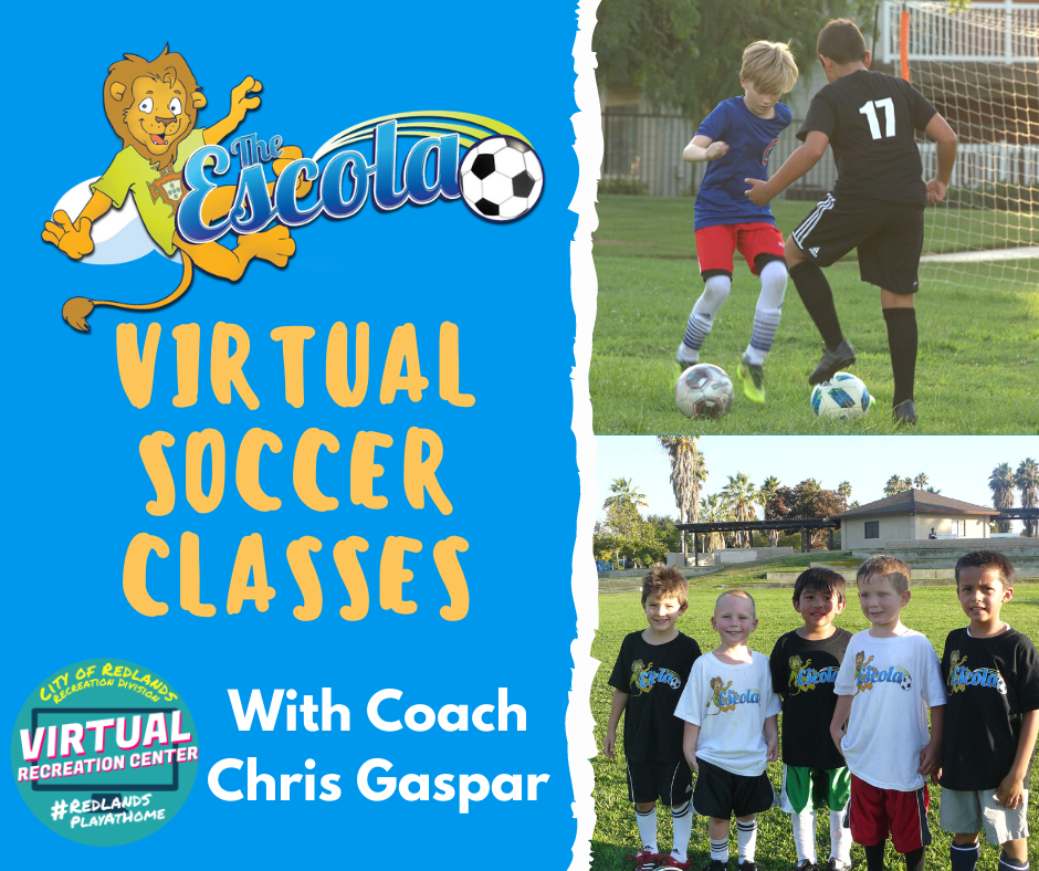 Escola Virtual Soccer Academy