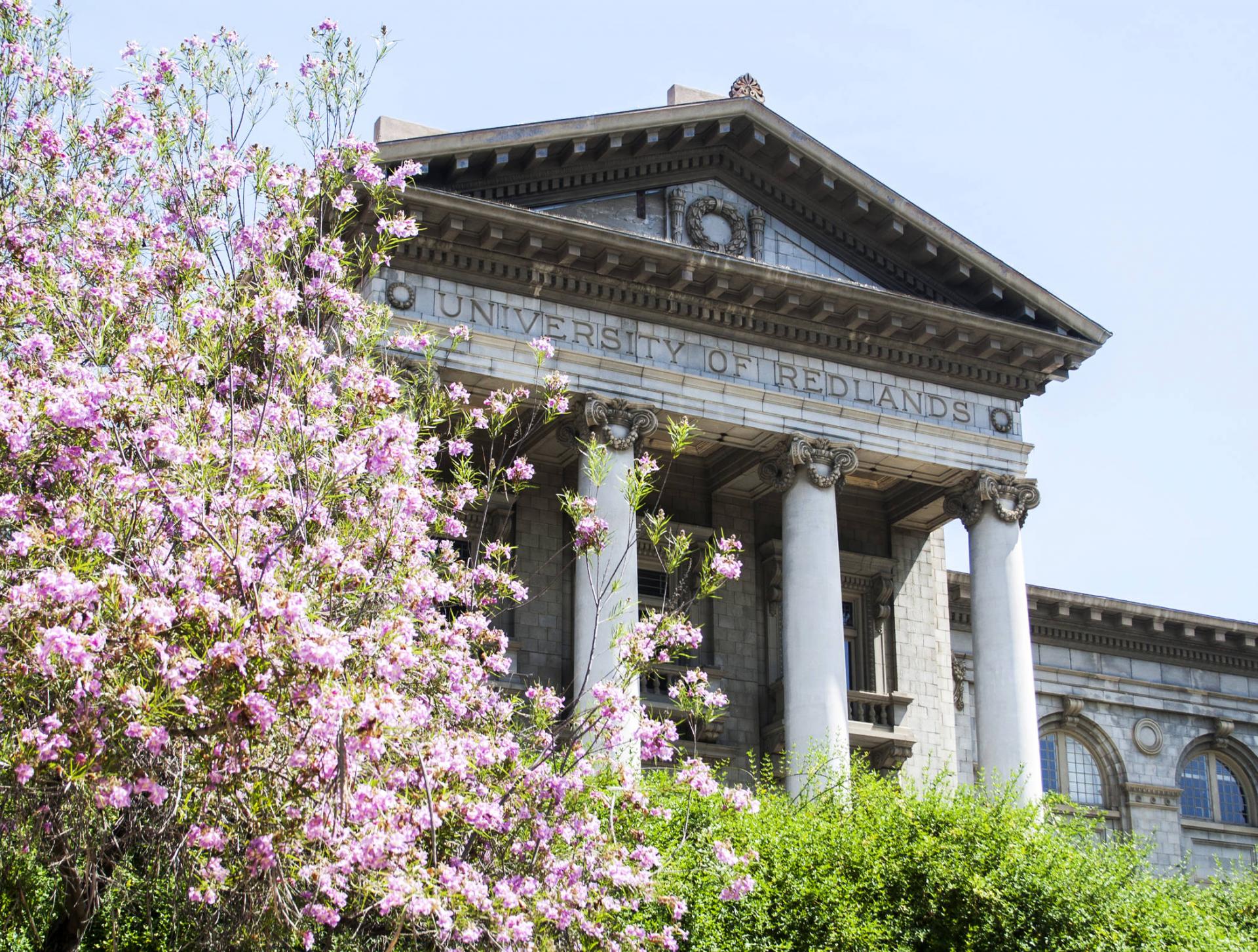 Virtual visioning workshops scheduled to create Strategic Plan