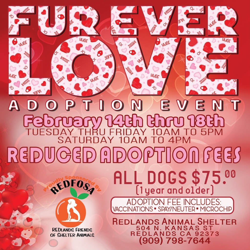 Furever Love Pet Adoption Event