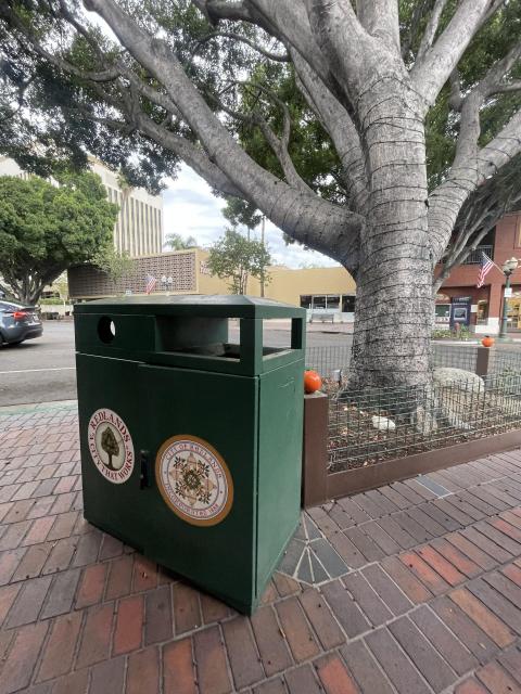 A green trash bin with city seals stands on a brick sidewalk near a large tree in an urban area.