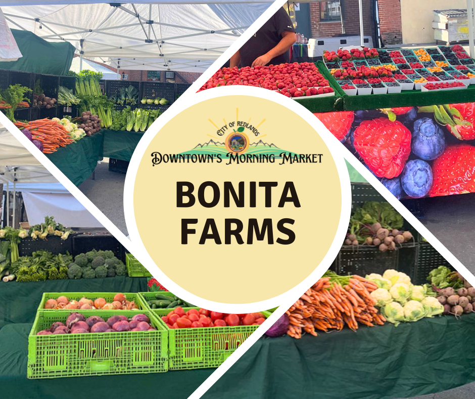 Collage of fresh produce, including carrots, strawberries, lettuce, and tomatoes, displayed at Bonita Farms stand at Downtown’s Morning Market, with a central circular market logo.