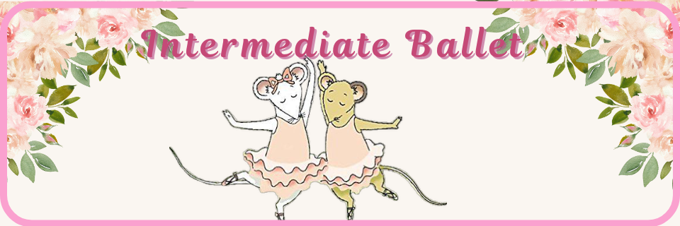 Two cartoon mice in pink tutus dancing together under the text "Intermediate Ballet," with a pink floral border.