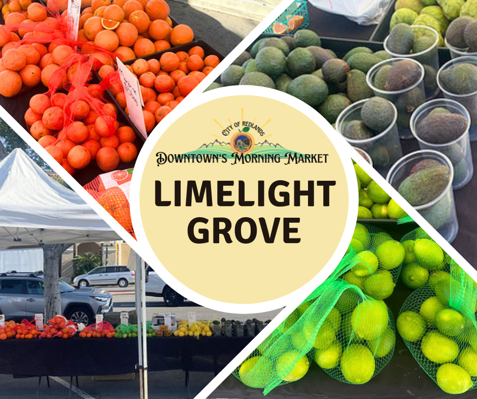 Collage of fruit displays at a market, including oranges, avocados, and limes, with a central sign reading "Downtown's Morning Market, Limelight Grove.