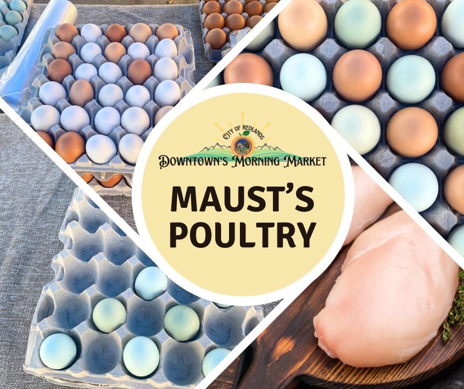 Collage of brown and blue eggs in cartons and raw chicken breasts, with a circular sign reading "Downtown's Morning Market - Maust’s Poultry" in the center.