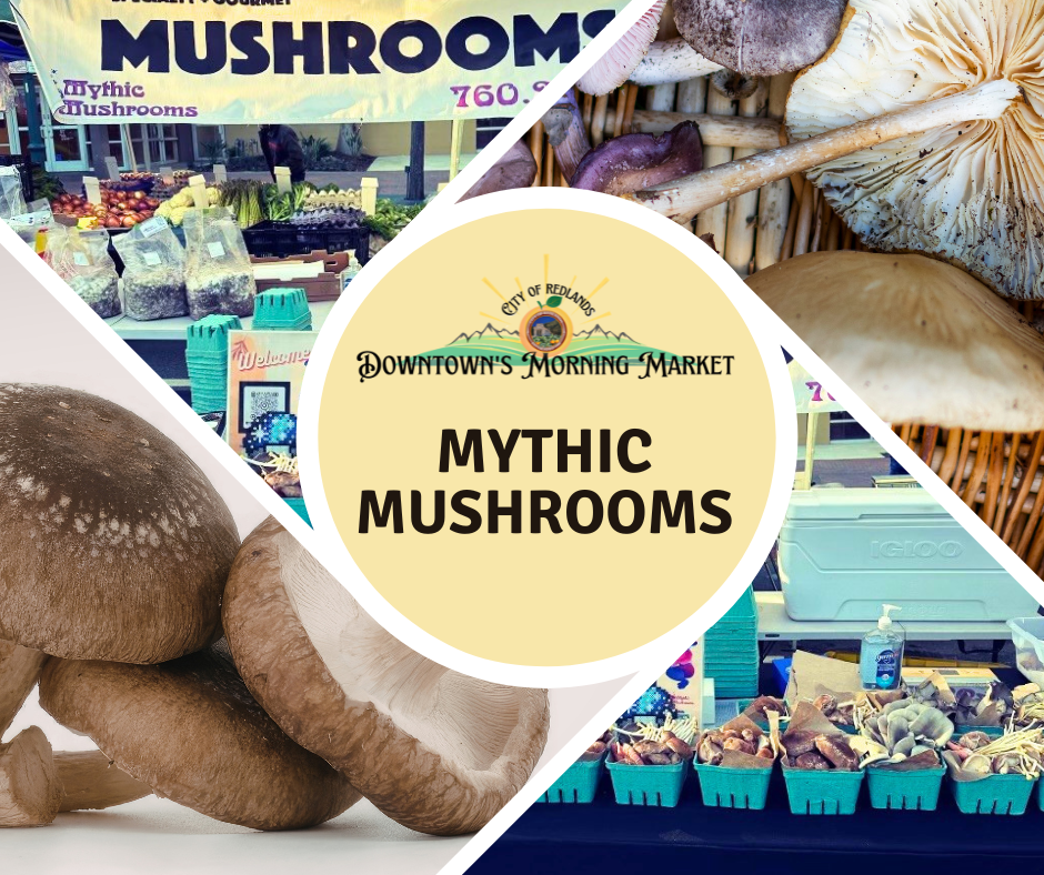 Collage of mushroom varieties and market booths, featuring a central sign reading "Downtown's Morning Market Mythic Mushrooms.