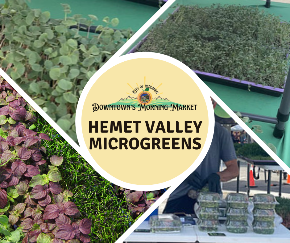 Collage showing trays of microgreens and a market booth with packaged microgreens for sale, featuring a Hemet Valley Microgreens sign for Downtown's Morning Market.