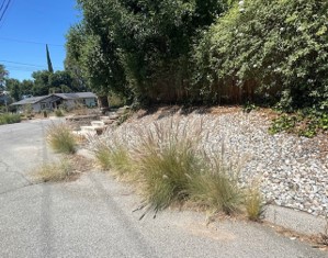 Residential street with overgrown grass along the curb, a sloped yard covered with rocks, and trees and shrubs near a wooden fence under a clear blue sky.